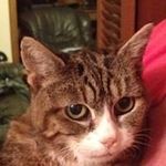 Barbara Pfleger - @pfleger.b - Instagram
