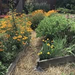 Barbara Philbrook Pelkey - @octopus936 - Instagram
