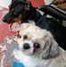 Barbara Phipps - Facebook