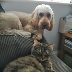 Barbara Phipps - @bonnie.perry.5036 - Instagram
