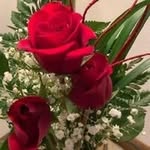 Barbara Phipps McGinnis - @barbaraphippsmcginni - Instagram