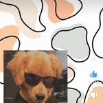 Barbara Yared Puga Picazo - @barbi_e1303 - Instagram