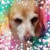 Barbara Picco - Facebook
