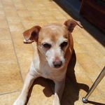 Barbara Picco - @barbara.picco.10 - Instagram