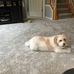 Barbara Pickel - Facebook