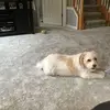 barbarapickel - @barbarapickel - TikTok