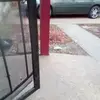 Barbara Pickens - @barbara.pickens4 - TikTok