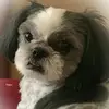 barbarapickens - @barbarapickens - TikTok