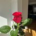 Barbara Piech - Facebook