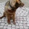 barbarapiech90 - @barbarapiech90 - TikTok