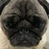 barbarapiechota5 - @barbarapiechota5 - TikTok