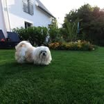 Barbara Piechowski - @barbarapiechowski - Instagram