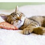 Barbara Renata Pieroni - @barberella73 - Instagram