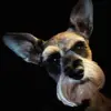 barbara point - @barbarapoint - TikTok