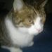 Barbara Pietsch - Facebook