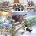 Barbara Jean Piggott - Facebook