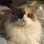 Barbara Pike - @barbmpike - Instagram