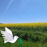 Barbara Pikuła - @basiap_65 - Instagram