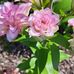 Barbara Pilarska - Facebook