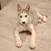Barbara Pilch - Facebook