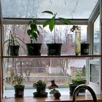 Barbara Pillers - @barbarapillers - Instagram