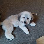 Barbara Ann Pilon - @barbaraapilon - Instagram