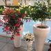 Barbara Pinder - Facebook