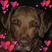 Barbara Ping - Facebook
