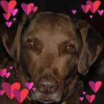 Barbara Ping - @barbaraping - Instagram