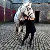 Barbara Pingree - @barbara.pingree - TikTok
