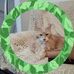 Barbara Parenti - Facebook