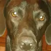barbarapronti - @barbarapronti - TikTok