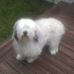 Barbara Platt - Facebook