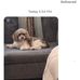 Barbara Pollack - Facebook