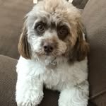 Barbara Pollack - @barbarapollack1239 - Instagram