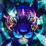 barbara pollock - @pollock8041 - Instagram