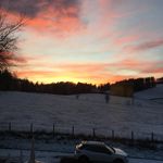 Barbara Pollock - @bgoldbooks - Instagram
