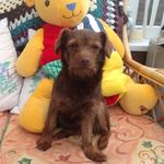 Babs Potter - @barbara.potter.56679 - Instagram