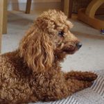 Barbara Potter - @barbara.potter.752 - Instagram