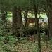 Barbara Prater - Facebook