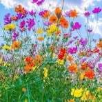 Barbara Preble - Facebook