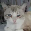 barbaraprietorodr - @barbara.prieto.ro5 - TikTok