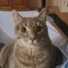 Barbara Pritchett869babbs - @barbarapritchett6 - TikTok