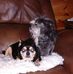 Barbara Pritchett - Facebook