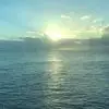 Barbara Pritchett - @barbara.pritchett - TikTok