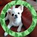 Barbara Purslow - Facebook