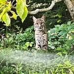 Barbara Ramey - @b69charger - Instagram