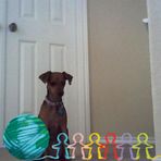 Barbara Randolph - Facebook
