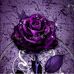 Barbara Kinman Rascoe - Facebook