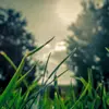 Barbara Raymond - @barbararaymond122 - TikTok